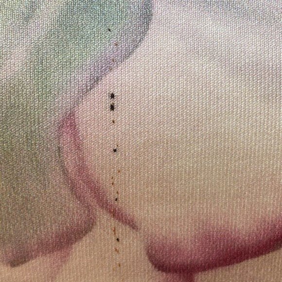 Ted Baker Pastel Succulent Mini Skater Dress 0 - Picture 8 of 16